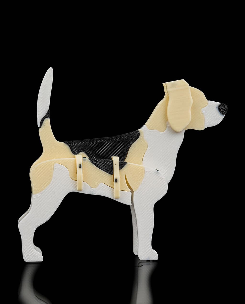 Beagle