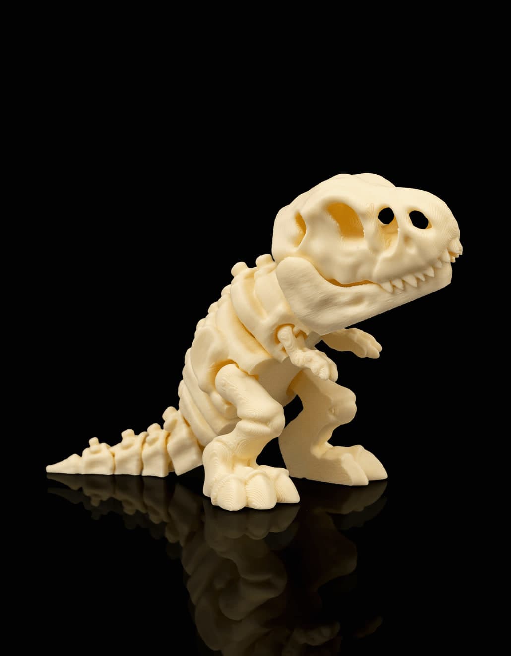 T-Rex Esqueleto