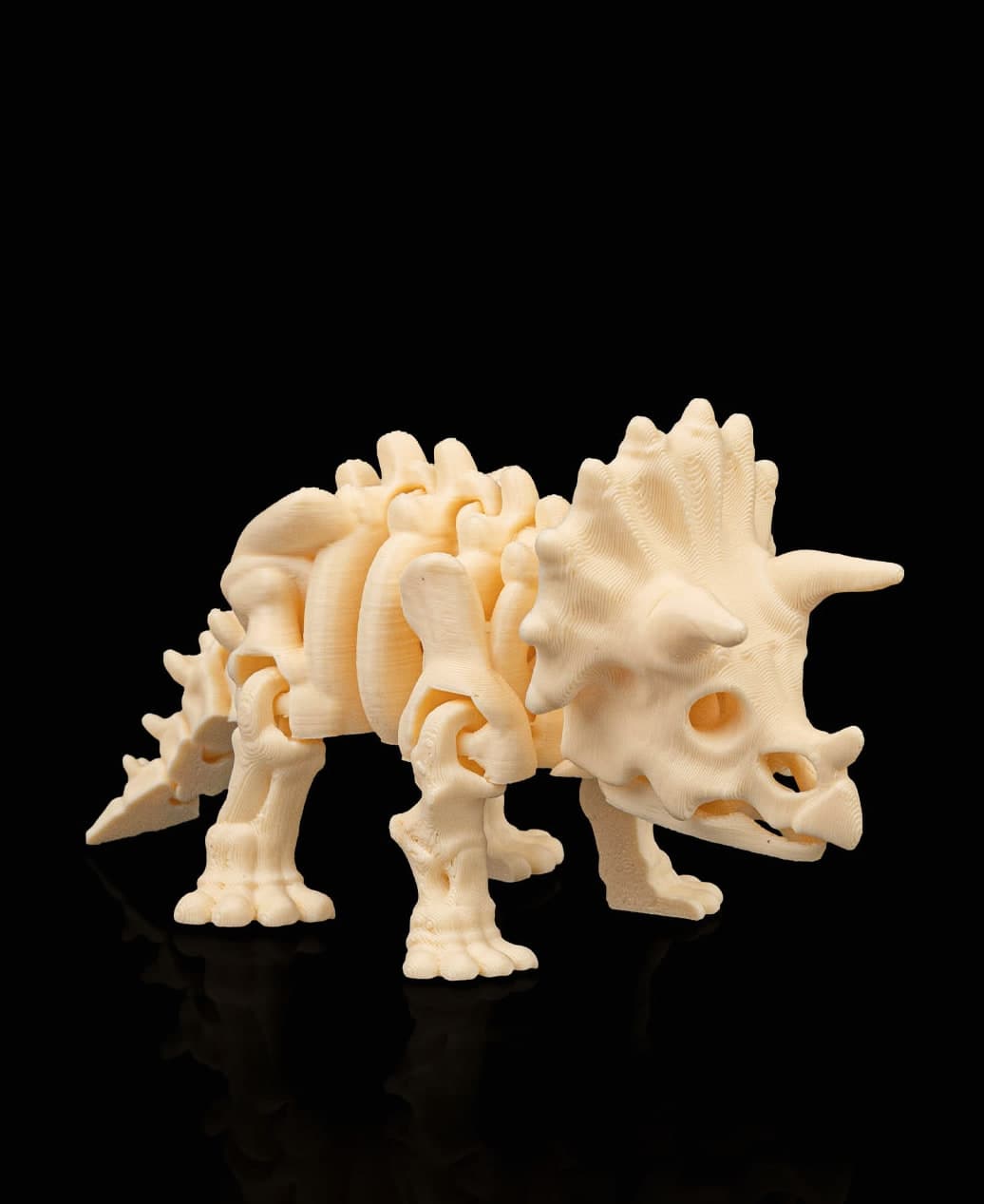 Triceratops Esqueleto