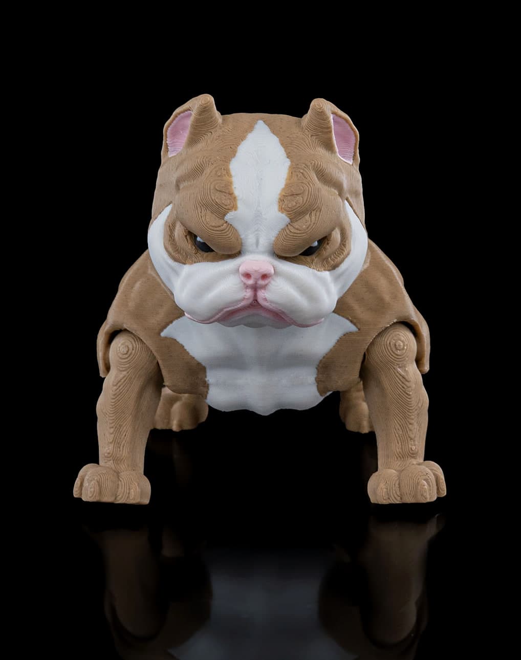 American Bully