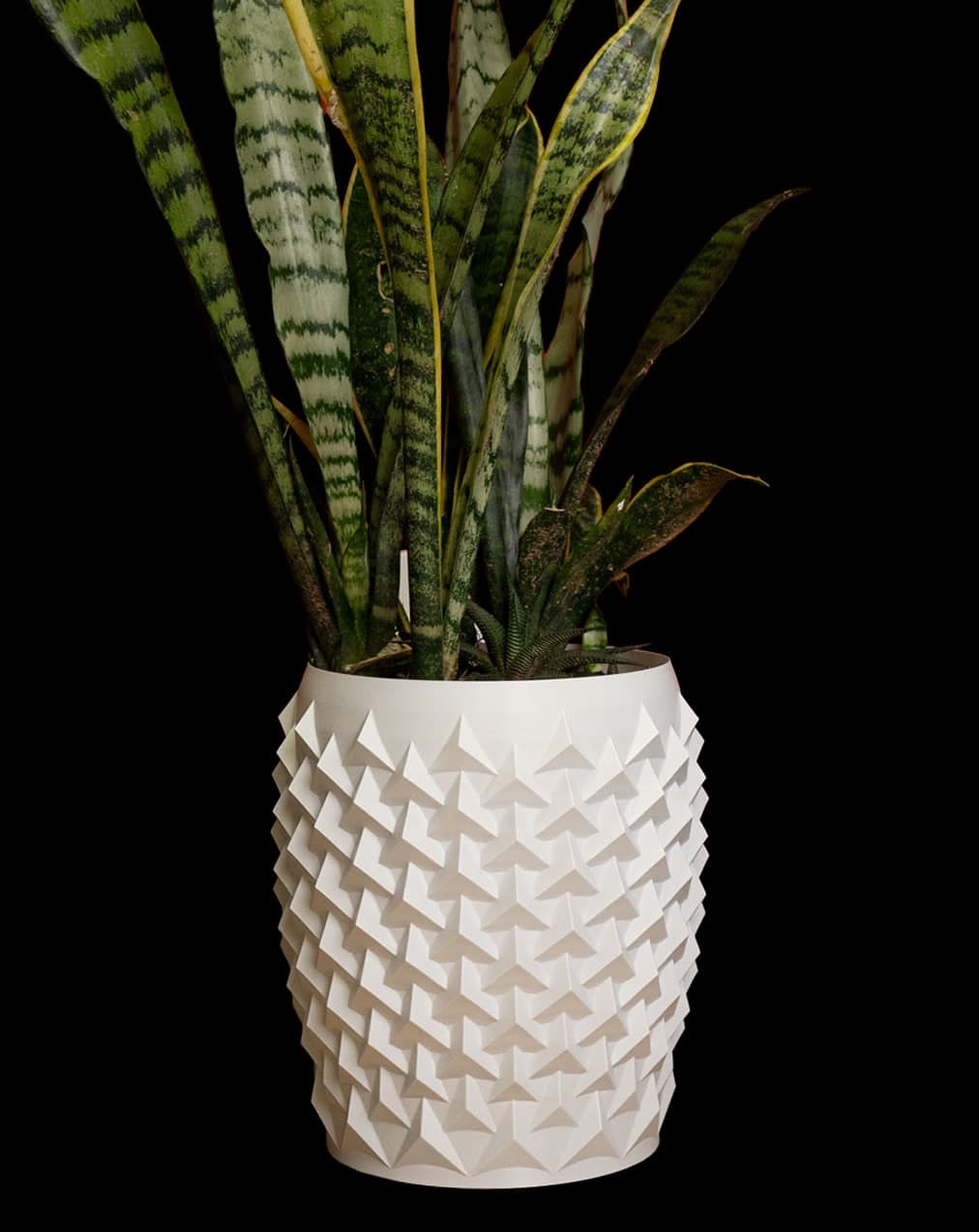 Vaso Bico